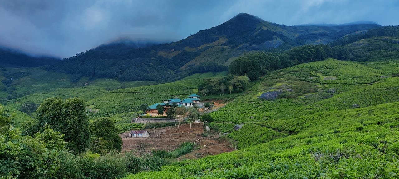 Munnar Valley Vista