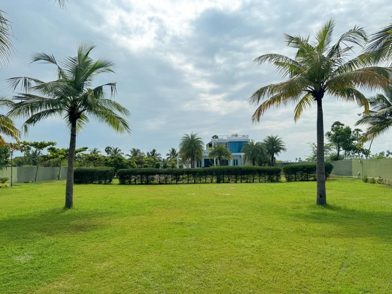 Palm Lawn OMR